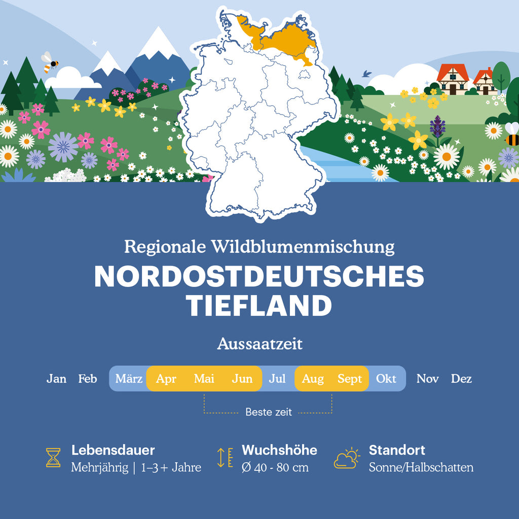 Joyfields Regionale Wildblumenmischung Deutschland - UG3 Nordostdeutsches Tiefland [de]