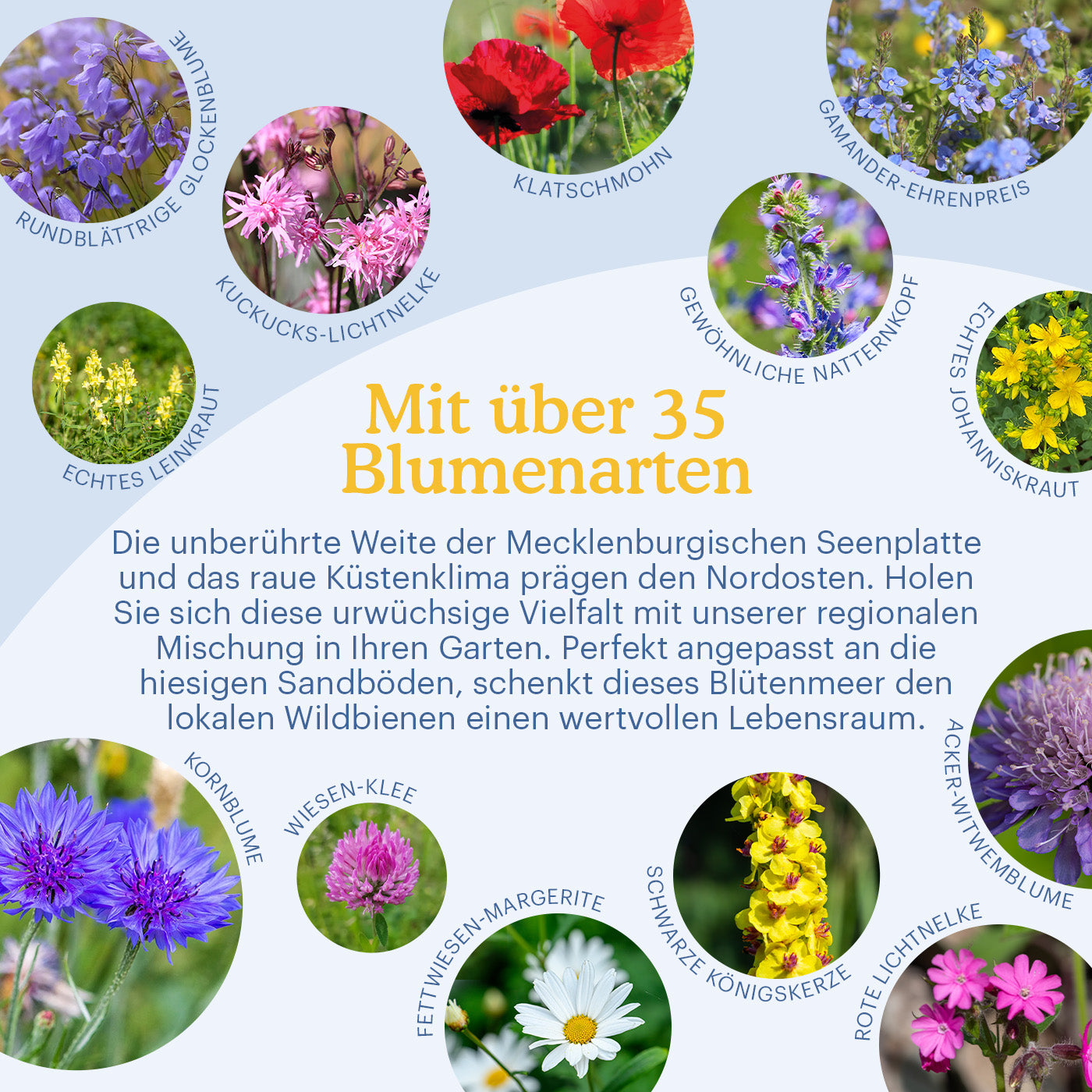 Joyfields Regionale Wildblumenmischung Deutschland - UG3 Nordostdeutsches Tiefland [de]