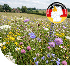Nordwestdeutsche Tiefland - Regionale Wildblumenmischung