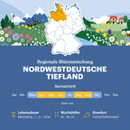 Nordwestdeutsche Tiefland - Regionale Wildblumenmischung