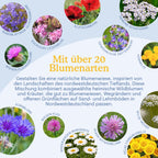 Nordwestdeutsche Tiefland - Regionale Wildblumenmischung