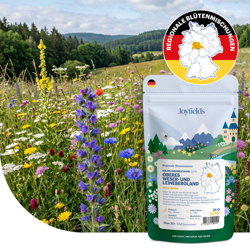 Joyfields Regionale Wildblumenmischung Deutschland - UG6 Oberes Weser- und Leinebergland [de]