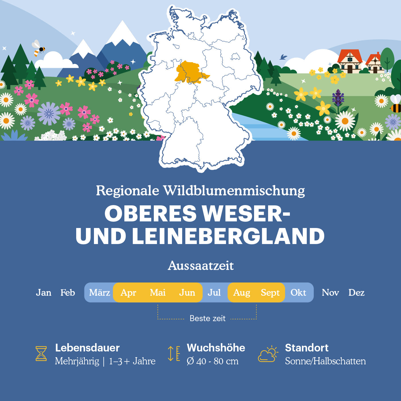 Joyfields Regionale Wildblumenmischung Deutschland - UG6 Oberes Weser- und Leinebergland [de]