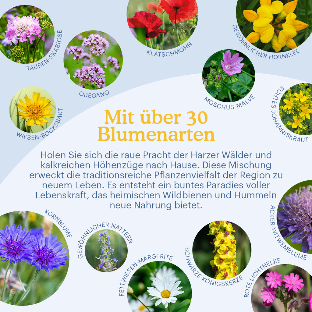 Joyfields Regionale Wildblumenmischung Deutschland - UG6 Oberes Weser- und Leinebergland [de]