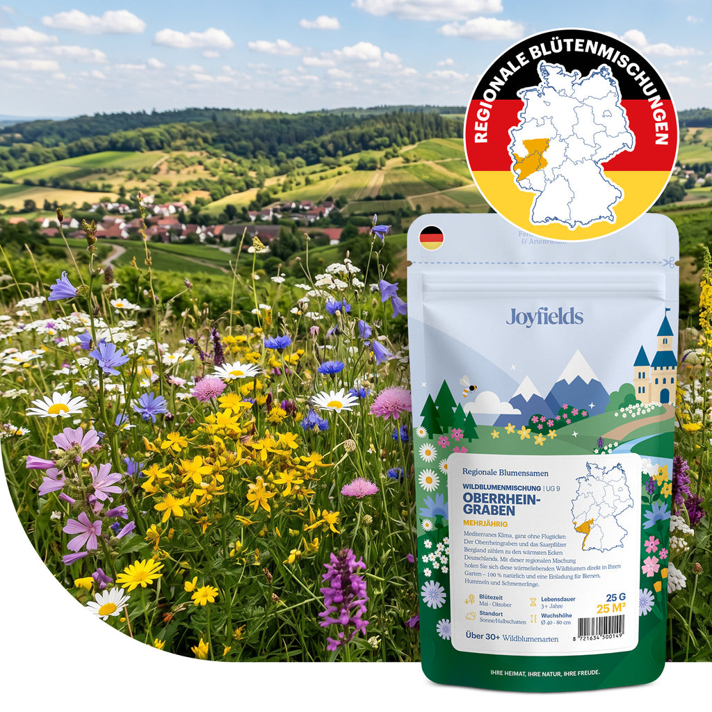 Joyfields Regionale Wildblumenmischung Deutschland - UG9 Oberrheingraben [de]