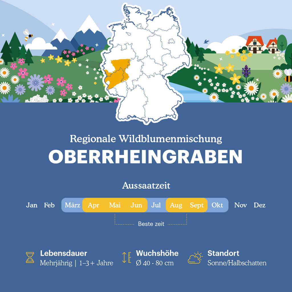 Joyfields Regionale Wildblumenmischung Deutschland - UG9 Oberrheingraben [de]