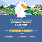 Joyfields Regionale Wildblumenmischung Deutschland - UG4 Ostdeutsches Tiefland [de]