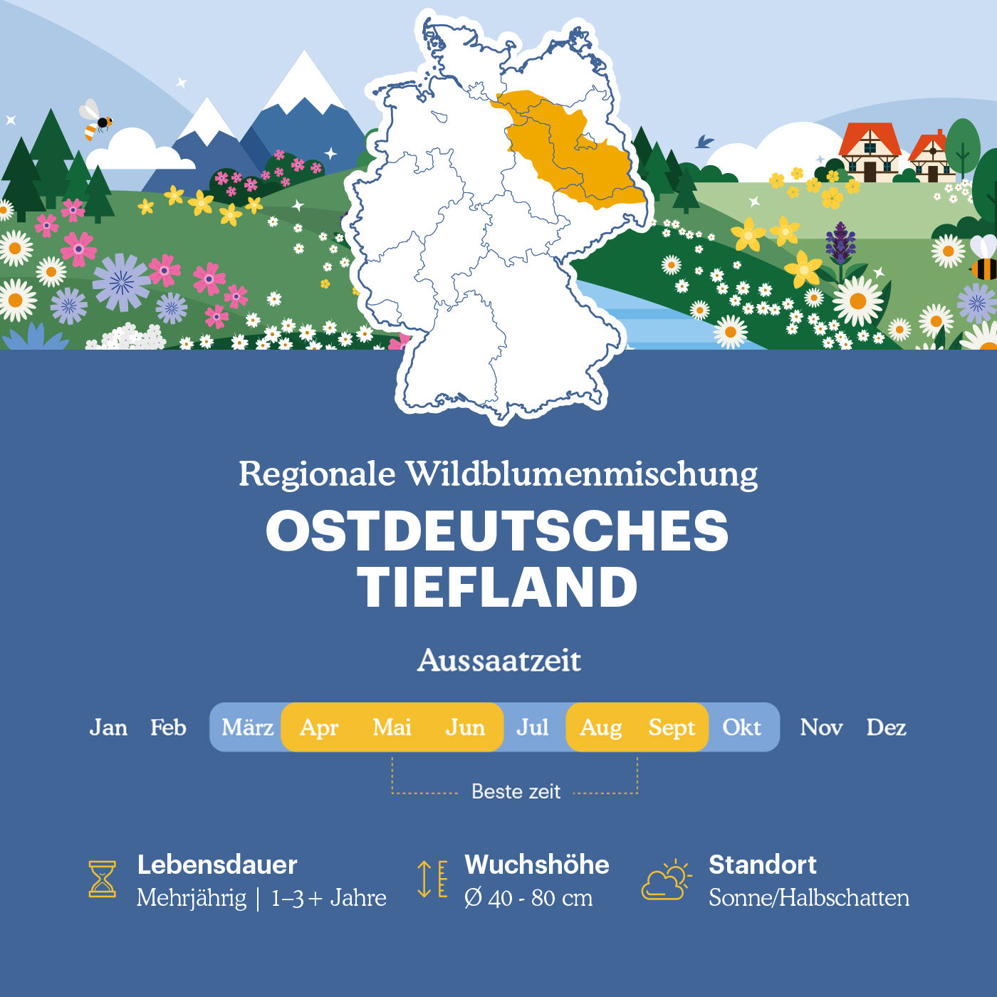 Joyfields Regionale Wildblumenmischung Deutschland - UG4 Ostdeutsches Tiefland [de]