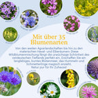 Joyfields Regionale Wildblumenmischung Deutschland - UG4 Ostdeutsches Tiefland [de]