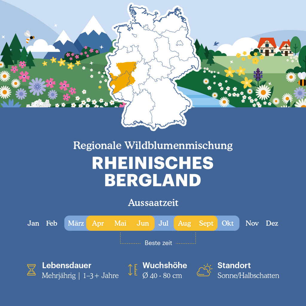 Joyfields Regionale Wildblumenmischung Deutschland - UG7 Rheinisches Bergland [de]