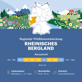 Joyfields Regionale Wildblumenmischung Deutschland - UG7 Rheinisches Bergland [de]
