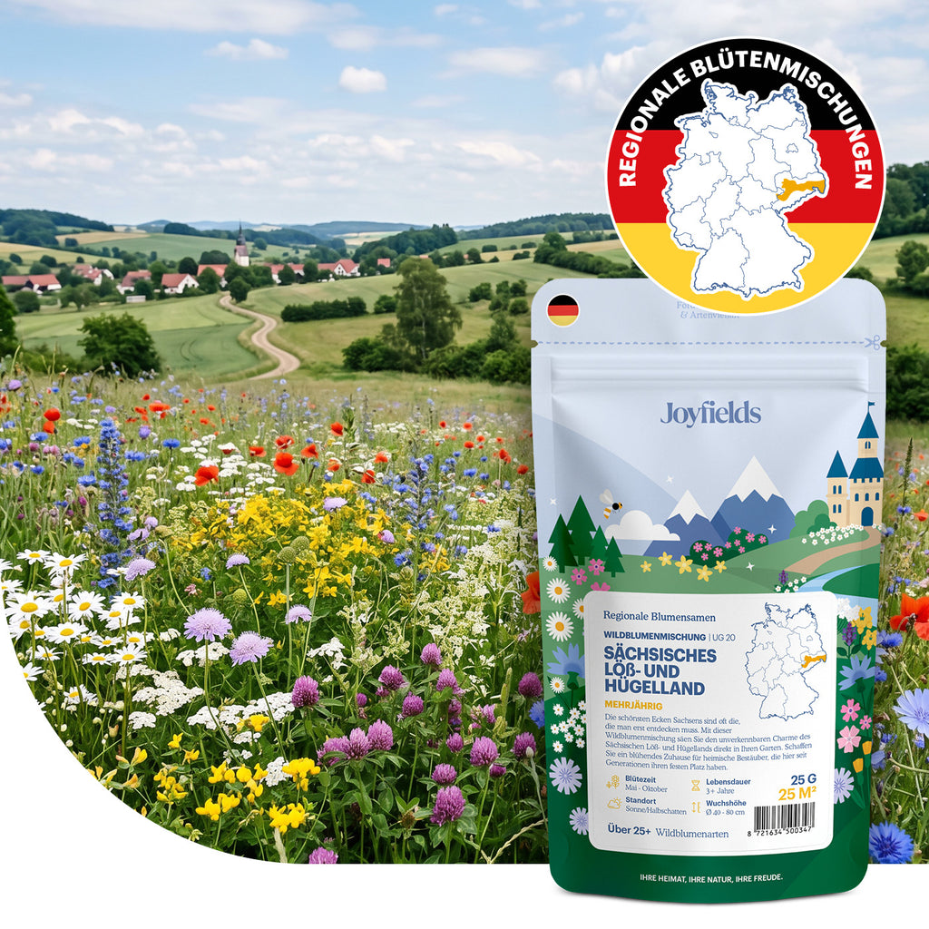 Joyfields Regionale Wildblumenmischung Deutschland - UG20 Sächsisches Löß- & Hügelland [de]