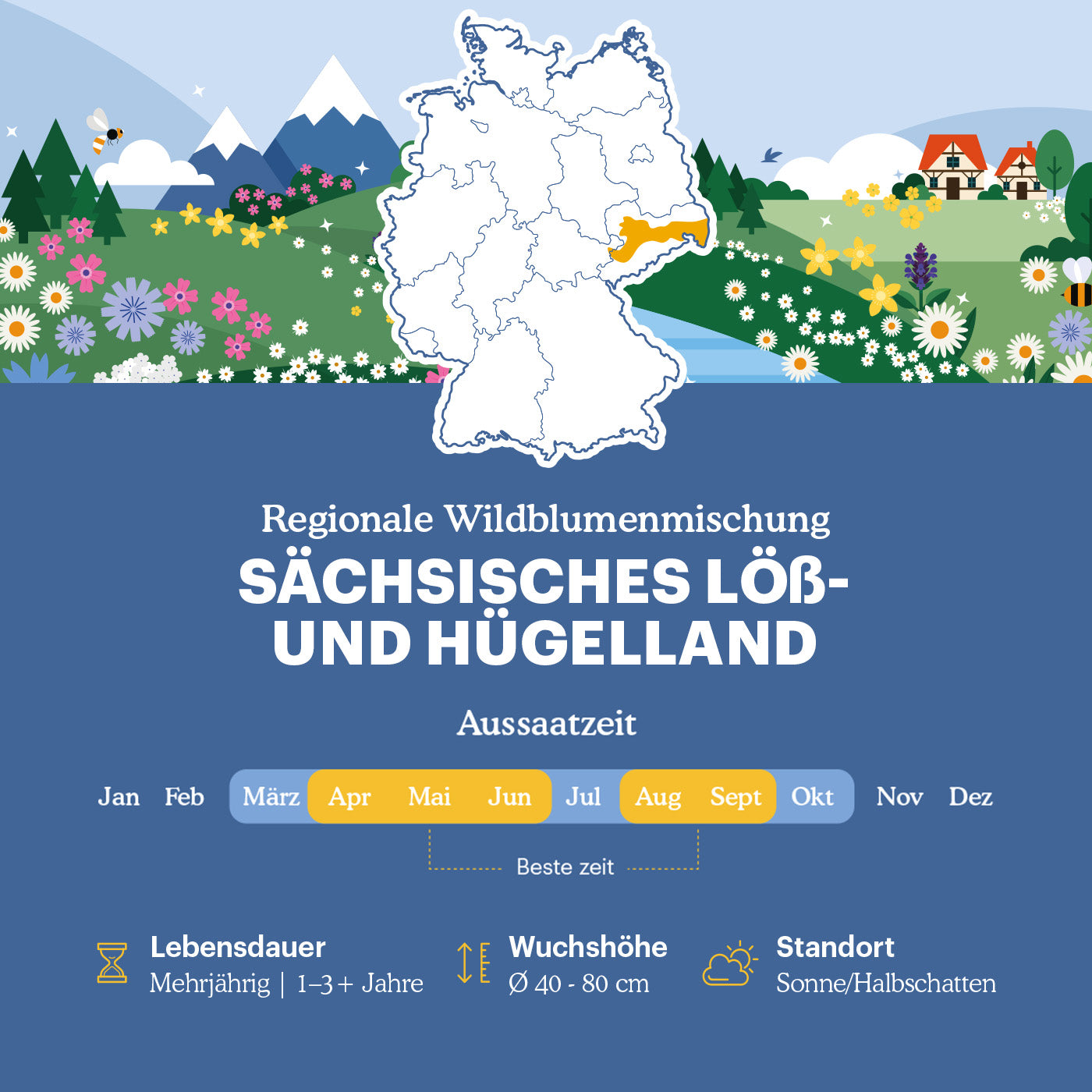 Joyfields Regionale Wildblumenmischung Deutschland - UG20 Sächsisches Löß- & Hügelland [de]