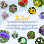 Joyfields Regionale Wildblumenmischung Deutschland - UG20 Sächsisches Löß- & Hügelland [de]