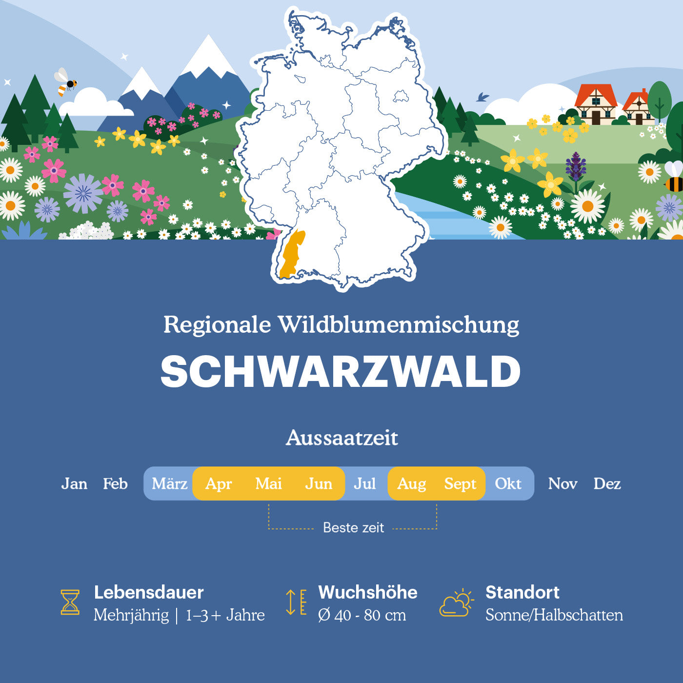 Joyfields Regionale Wildblumenmischung Deutschland - UG10 Schwarzwald [de]