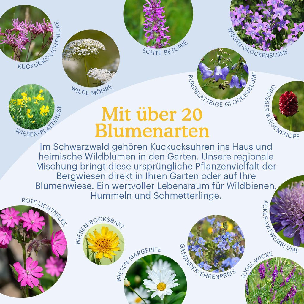 Joyfields Regionale Wildblumenmischung Deutschland - UG10 Schwarzwald [de]