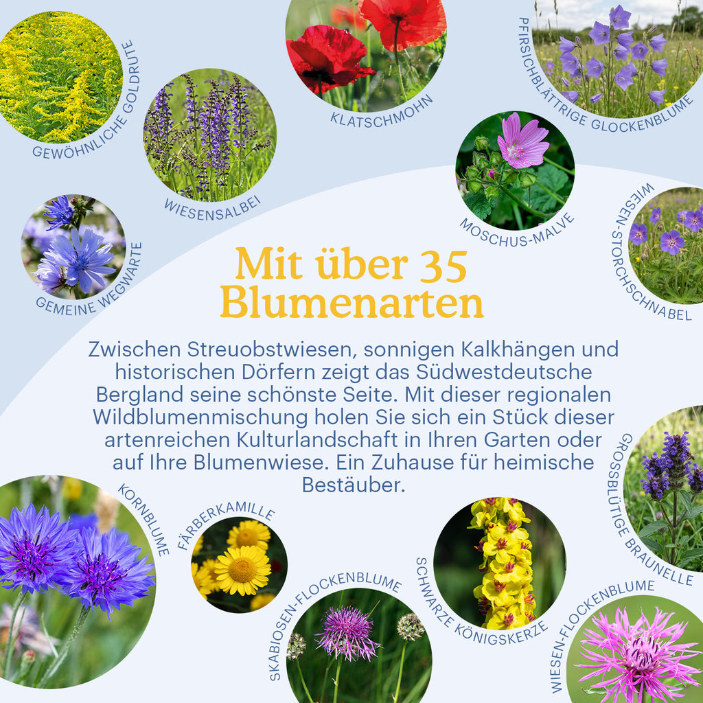 Joyfields Regionale Wildblumenmischung Deutschland - UG11 Sudwestdeutsches Bergland [de]