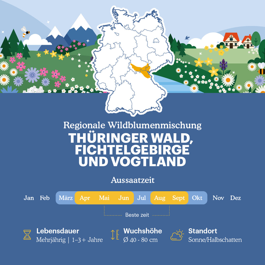 Joyfields Regionale Wildblumenmischung Deutschland - UG15 Thüringer Wald, Fichtelgebirge & Vogtland [de]
