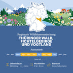 Joyfields Regionale Wildblumenmischung Deutschland - UG15 Thüringer Wald, Fichtelgebirge & Vogtland [de]