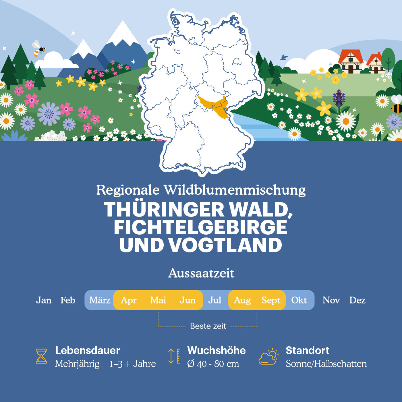 Joyfields Regionale Wildblumenmischung Deutschland - UG15 Thüringer Wald, Fichtelgebirge & Vogtland [de]