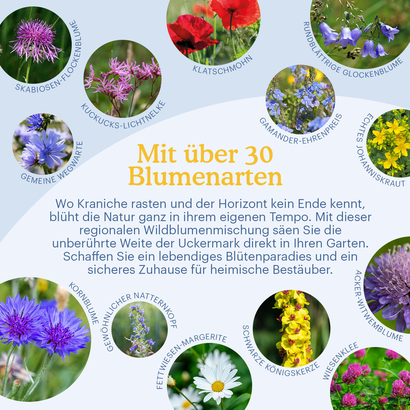 Joyfields Regionale Wildblumenmischung Deutschland - UG22 Uckermark und Odertal [de]