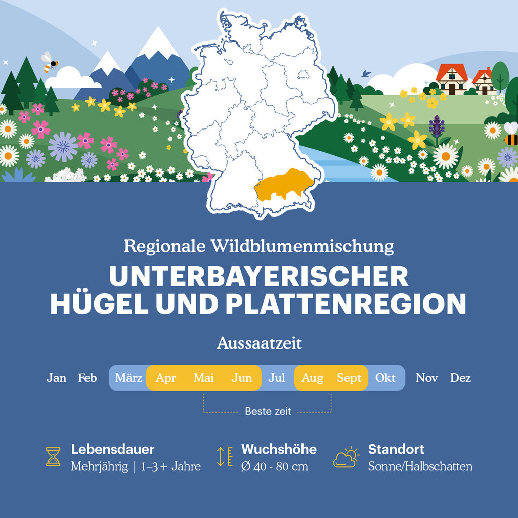 Joyfields Regionale Wildblumenmischung Deutschland - UG16 Unterbayerische Hügel- & Plattenregion [de]