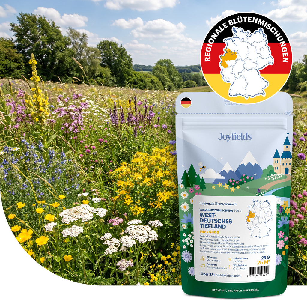 Joyfields Regionale Wildblumenmischung Deutschland - UG2 Westdeutsches Tiefland [de]
