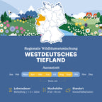 Joyfields Regionale Wildblumenmischung Deutschland - UG2 Westdeutsches Tiefland [de]