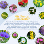 Joyfields Regionale Wildblumenmischung Deutschland - UG2 Westdeutsches Tiefland [de]