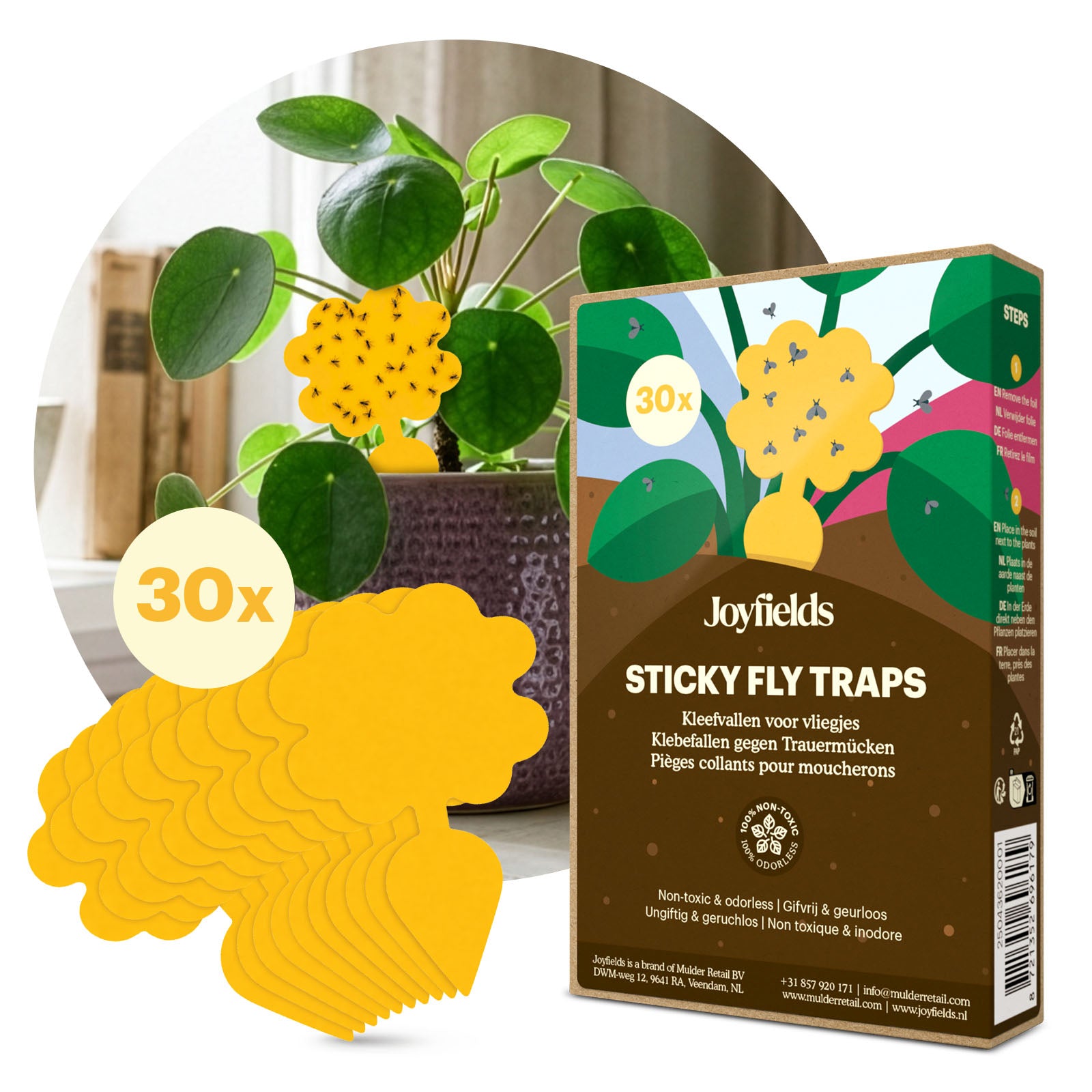 Fangplatten - Klebefallen für Trauermücken