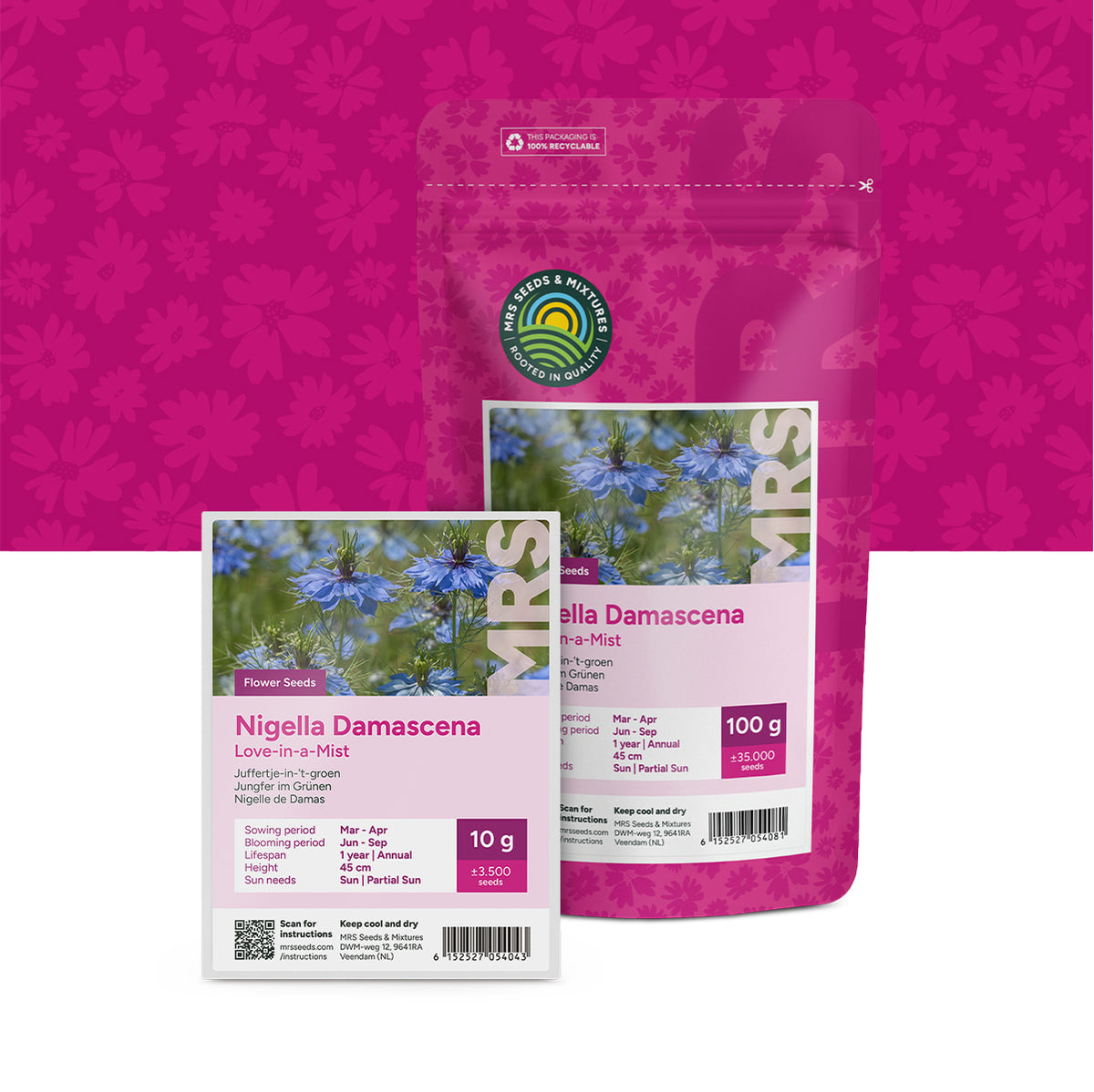 Jungfer im Grünen – Nigella damascena