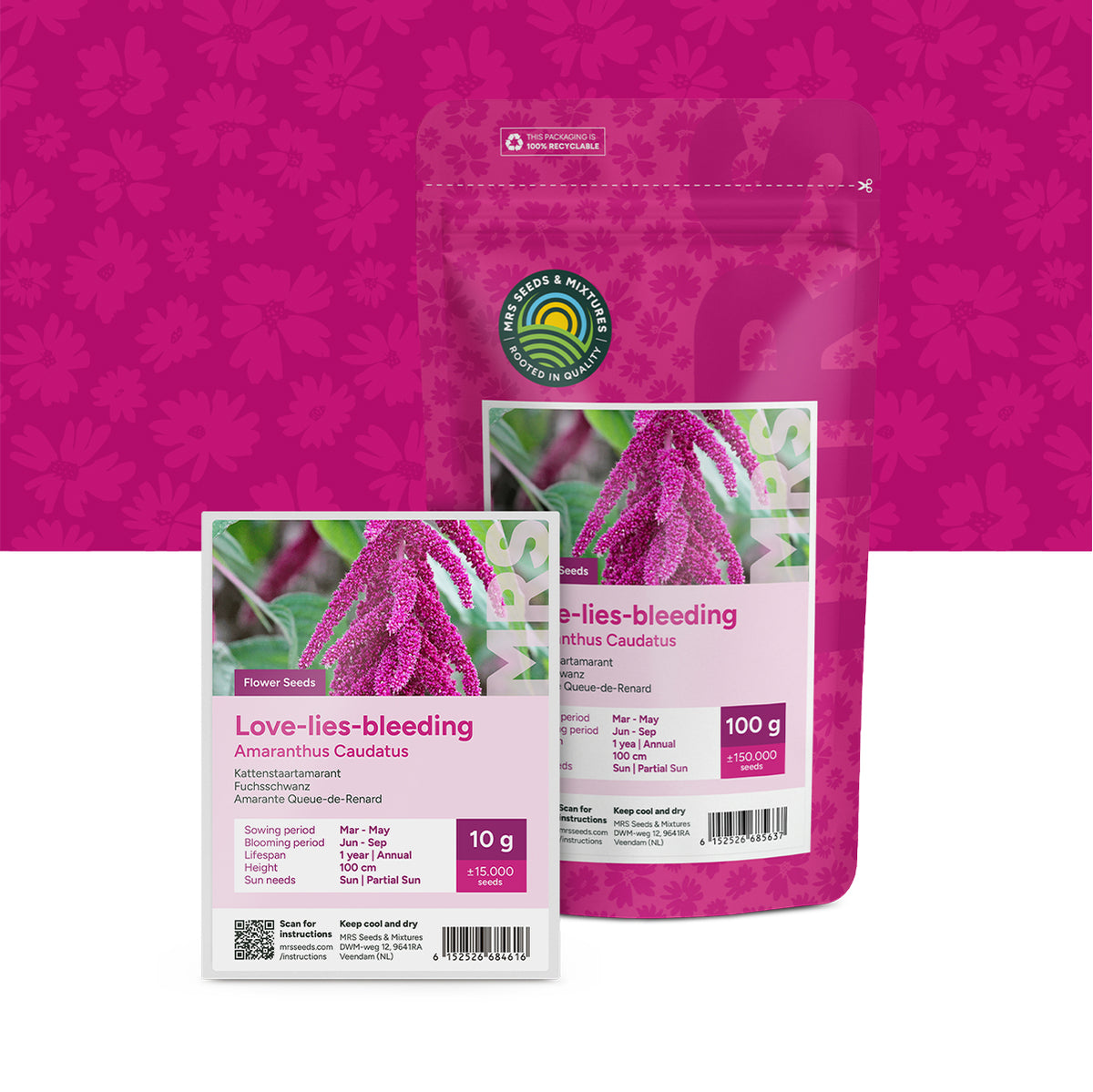 Fuchsschwanz  – Amaranthus caudatus