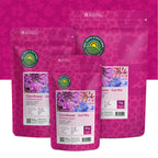 Kornblume 'Ball mix' – Centaurea cyanus