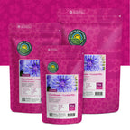 Kornblume 'Frosted' gemischt – Centaurea cyanus
