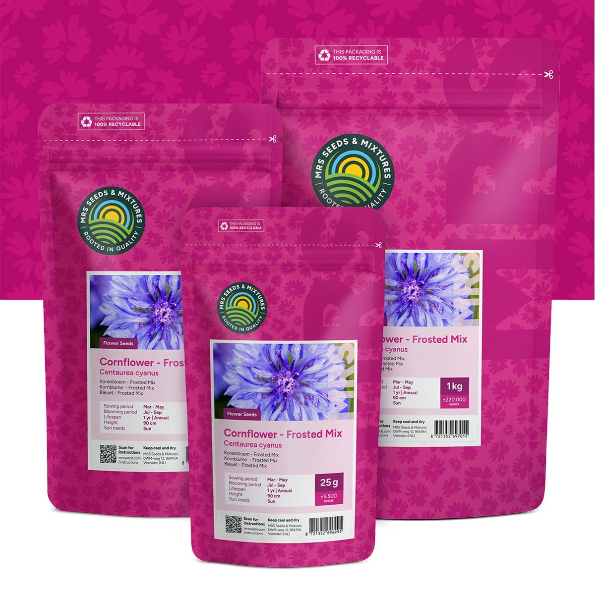 Kornblume 'Frosted' gemischt – Centaurea cyanus