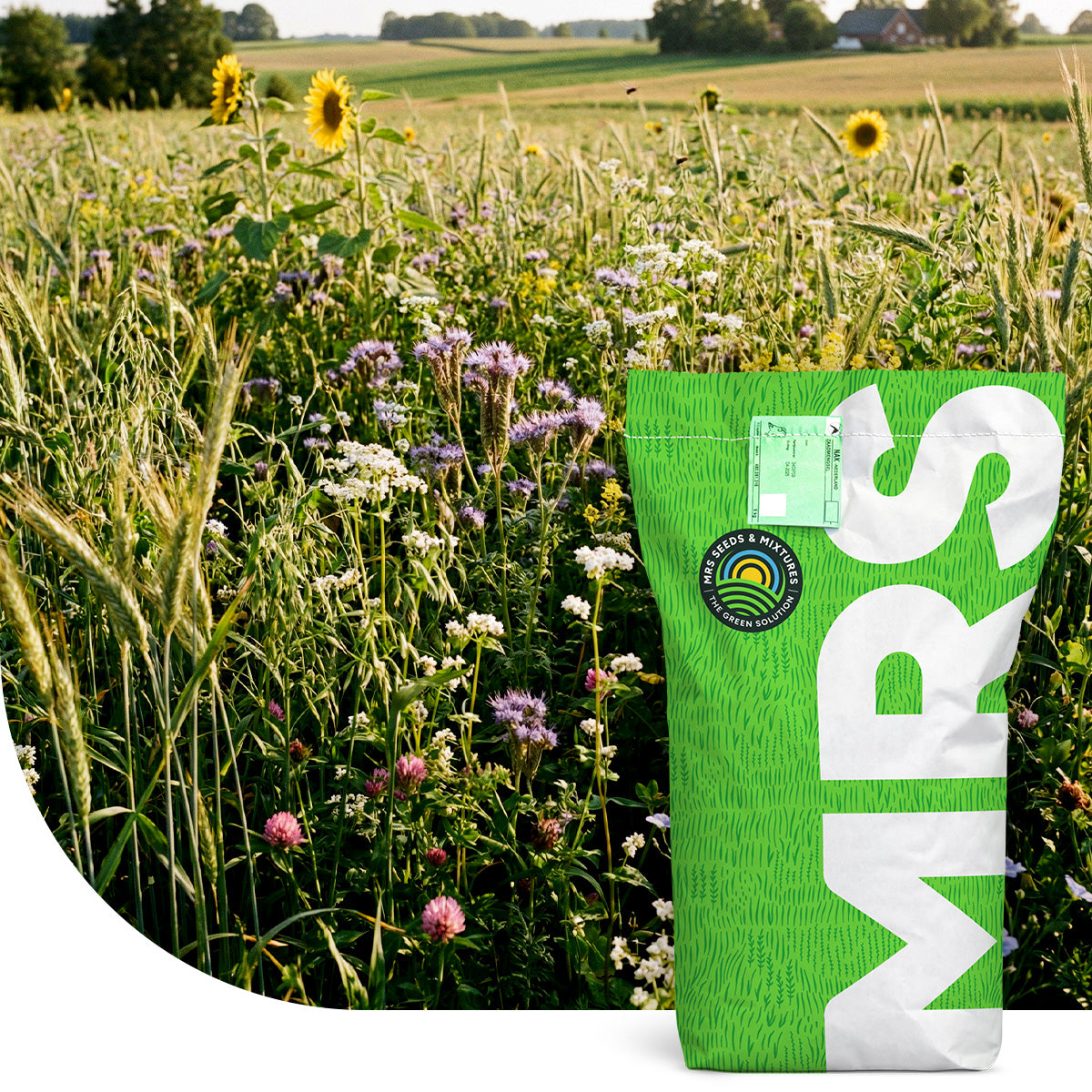 Gründüngungsmischung - MRS Seeds | Samendirekt.de – Mulder Retail B.V.