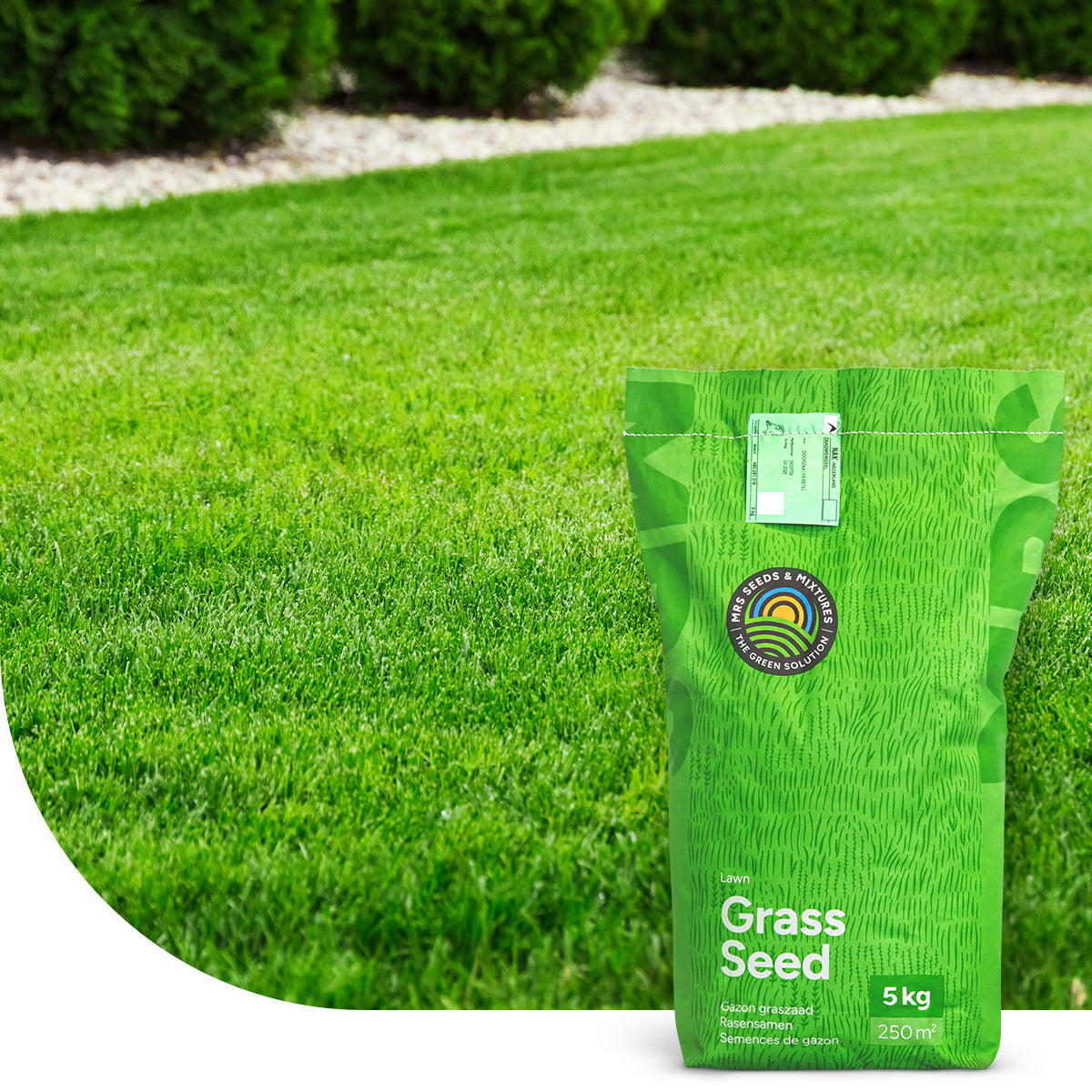 Luxury Lawn - RSM 1.1.1 Grassamen Zierrasen