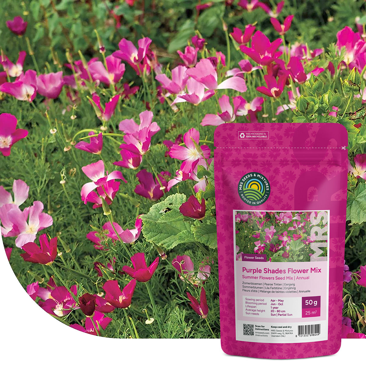Sommerblumen Lila Farbtöne Mix