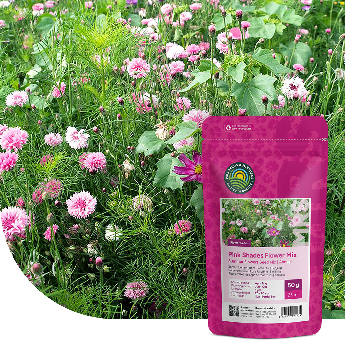 Sommerblumen Rosa Farbtöne Mix