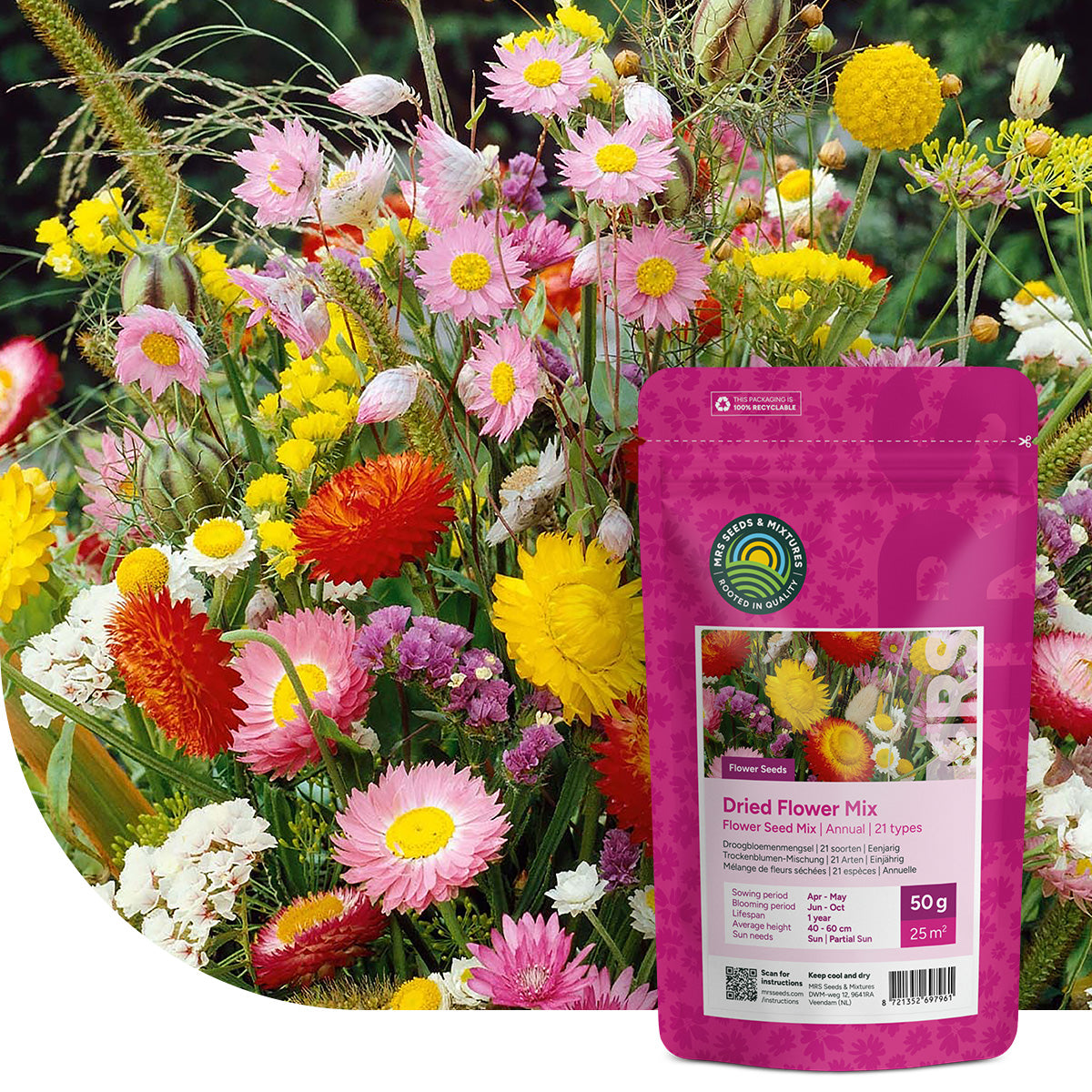 Trockenblumen-Mischung – 21 Arten