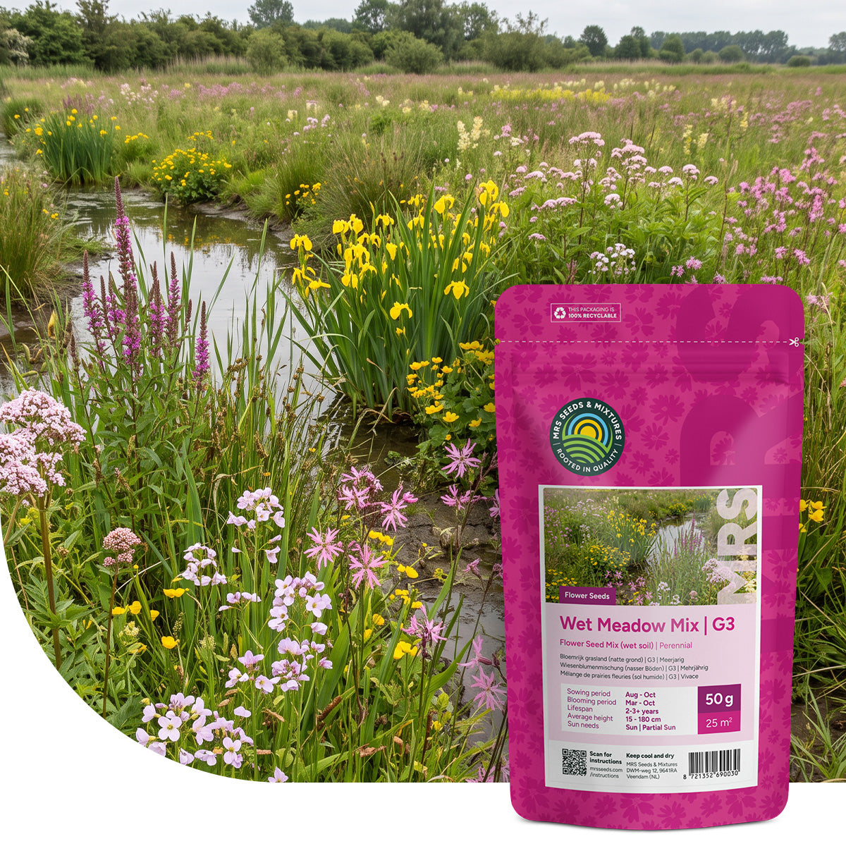 Typ G3 – Feuchtwiese – Blumenmischung