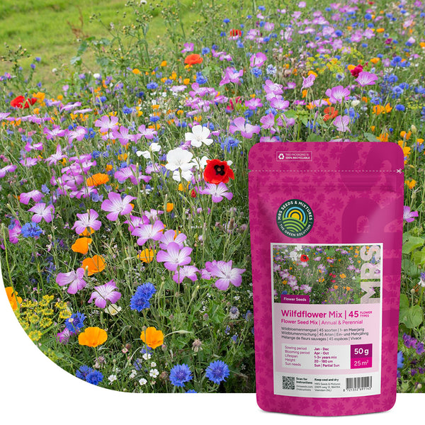 Wildblumenmischung ein- und mehrjährig kaufen? – Mulder Retail B.V