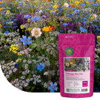 Tübinger Bienenweidemischung