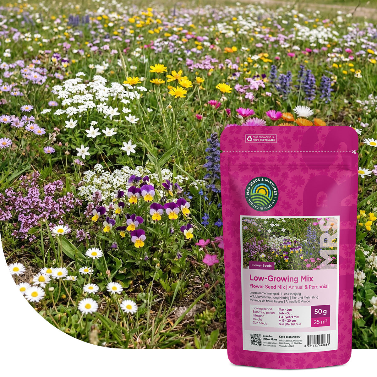 Wildblumenmischung niedrig ein- und mehrjährig
