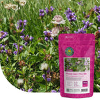 Typ G4 – Blumenwiesenmischung mehrjährig