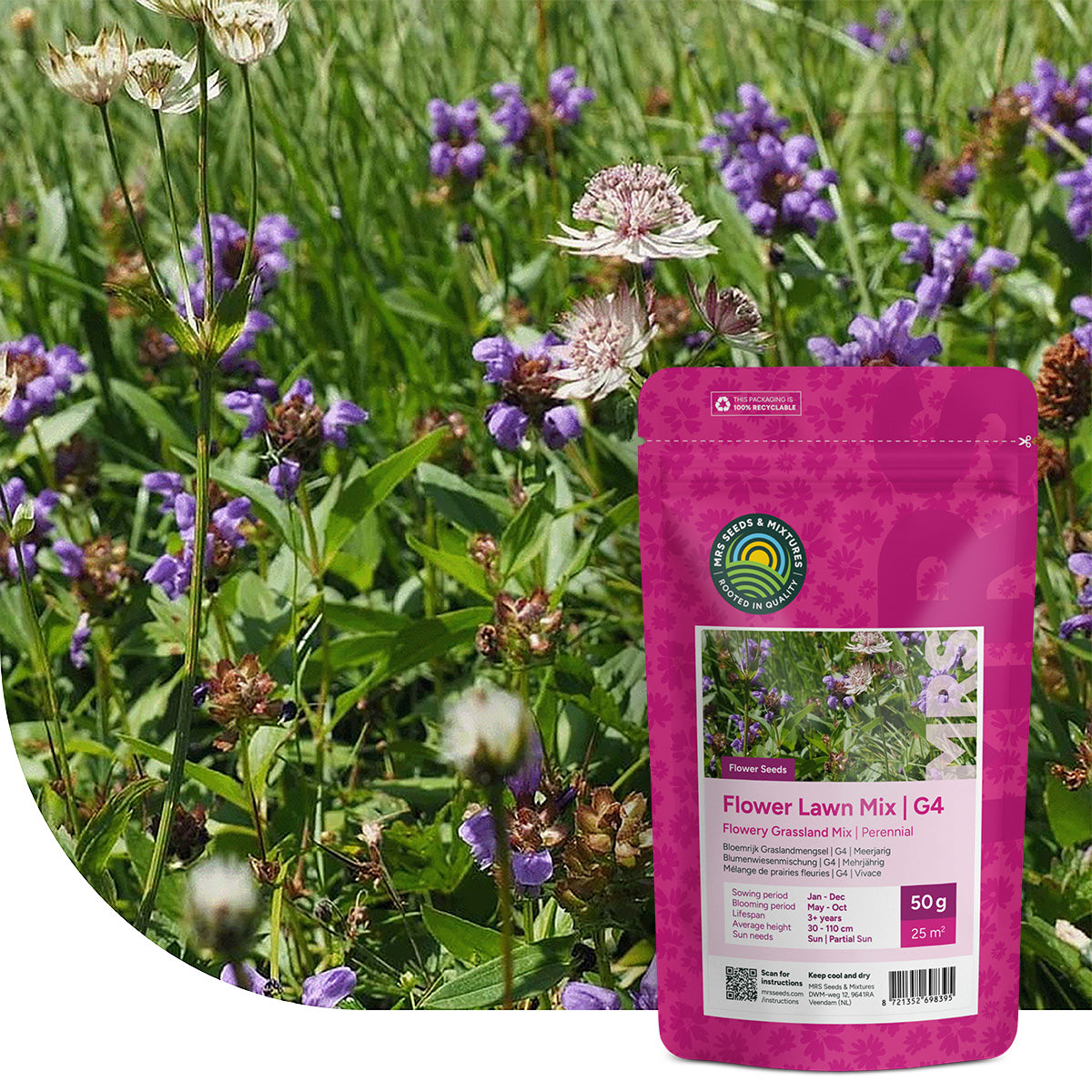 Typ G4 – Blumenwiesenmischung mehrjährig