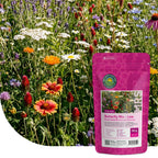 Schmetterlingsblumenmischung - Niedrig blühend
