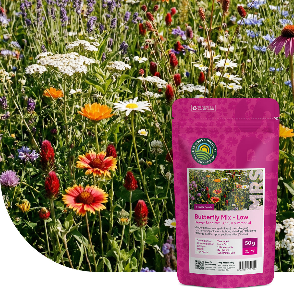 Schmetterlingsblumenmischung - Niedrig blühend