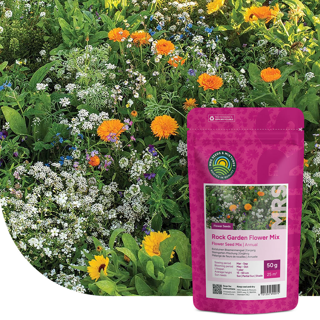 Steingarten Blumenmischung – einjährig