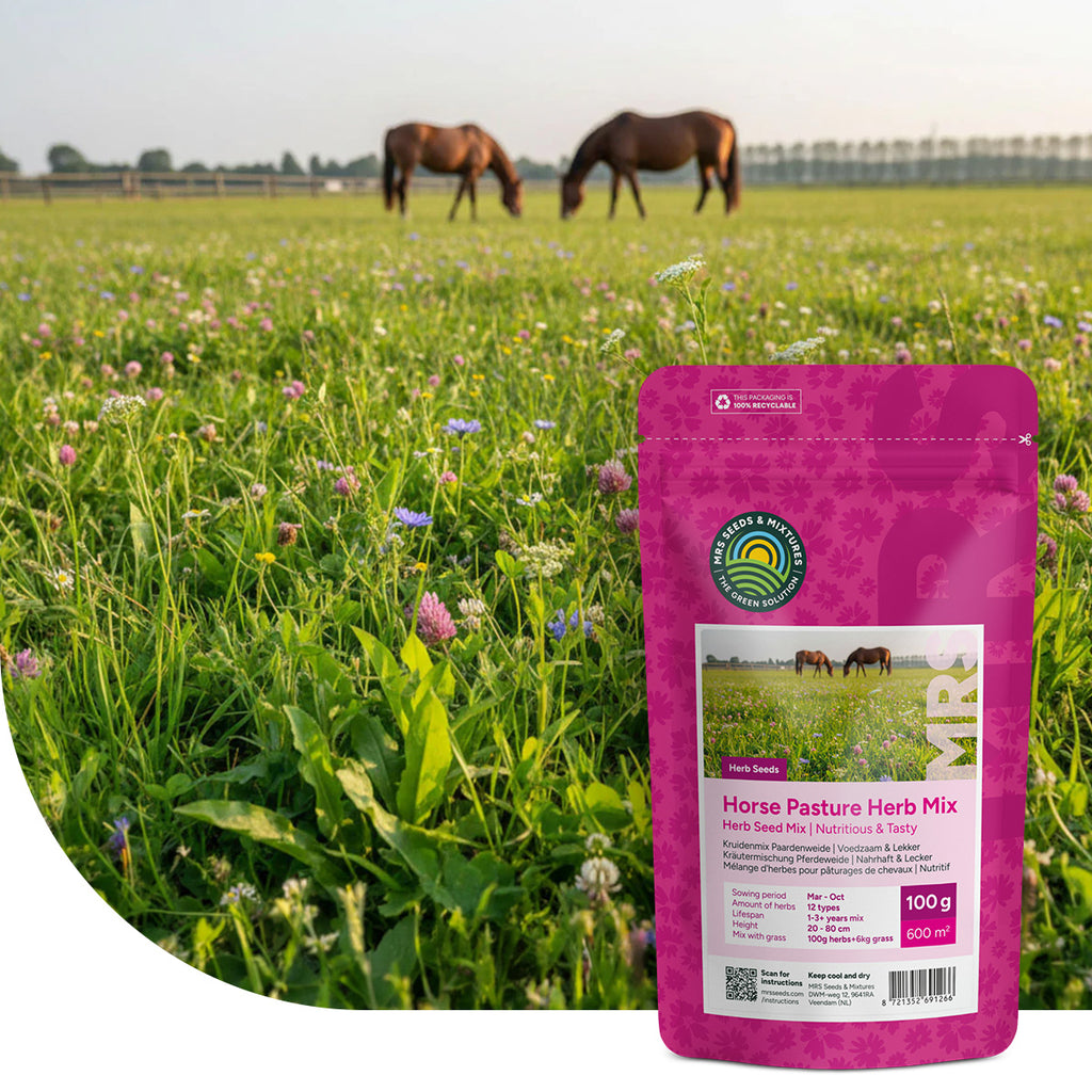 Kräutermischung Pferdeweide